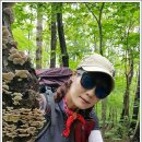 설악민박 이미지