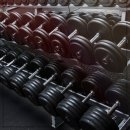 휘트니스피플 이미지