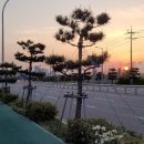 녹산산업대로 이미지