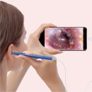 마이아지트 | 다낭 이발소 아지트 한시장 본점 에서 고품격 관리 받기