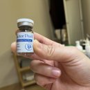 바디닥터달서 이미지