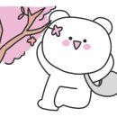 일야미 이미지