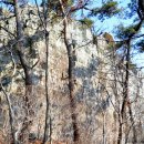 박재도농장 이미지