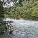 배내시티SA | 경남 부근 , 대형수영장펜션 배내시티SA펜션 리뷰 후기