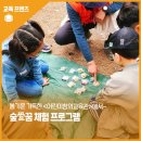 봄기운과 함께하는 어린이 숲 체험! &lt;부산광역시교육청어린이창의교육관&gt; 숲愛꿈 체험 프로그램 후기