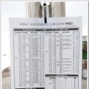 철새보러가는길 이미지