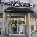 테트라수족관 | 청주 열대어샵 옥빛수족관 방문 후기 혈앵무 디스커스 입양