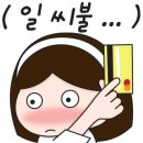 코멜리 이미지