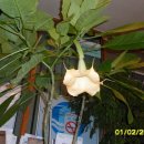 화천보건진료소 이미지