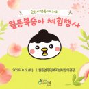 제17회 순천명품 월등 복숭아 체험행사 | 제20회 순천명품 월등복숭아 체험행사 !