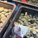 아무거나포차 | 부평 맛집 연평포차 내돈내산 솔직후기! 싱싱한 해산물이 가득한 부평 술집 안주 찐맛집 추천 🦐🐚