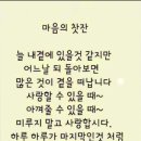 속담에 &#34;지성이면 감천이다&#34;란 말이 있습니다. 이미지