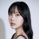 마이네스트 데일리안