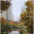 시원부동산공인중개사사무소 이미지