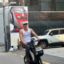 변무화쌍한 삶