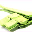 지성식품 이미지