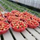 함평농협주유소 이미지