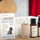 스위트펫 이미지