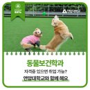 유기 및 야생동물 관리 전문가 양성과정 | 동물보건학과 자격증 있으면 취업 가능? 연암대학교와 함께 해요