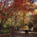 남구-043 이미지