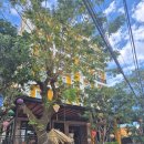 로열호텔 | 베트남 로열 리버사이드 호이안 호텔 후기