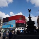 Street Circus 이미지