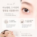 눈숲