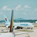 중국동포행정사사무소 이미지