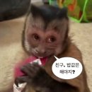 반찬에반하다