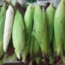 태풍 마트모 상륙-＞가뭄에 단비,늦장마 ,옥수수-미백2호,집앞에 핀꽃들 이미지