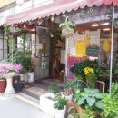 수락이오냉면 이미지