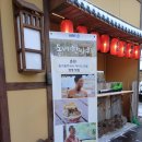 대룡산장 카페 춘천 동네한바퀴에 나온 곳 애견동반 가능 (내돈내산 후기)