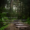 글숲 네이버블로그