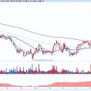 주식회사 온덴탈 이미지