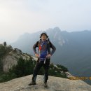 해미중앙의원 이미지