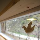 나무사이에 자연속으로 이미지