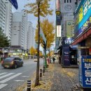 바롬 이미지