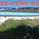 내곡동435 이미지