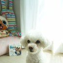 프로지스 | 강아지유산균 추천, 강아지 요거트 프로지스 맛있고 건강하게~!