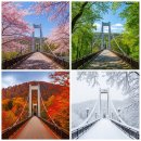 우정종합정비 | 100대 명산 조망되는 유리바닥 출렁다리, 문경역 앞 봉명산 출렁다리