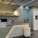 장성동물병원 | [강서구 동물병원] 과잉진료 없는 고양이 병원 ‘우장산동물의료센터’ 수술 후기