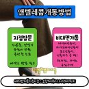 괴정텔레콤 이미지