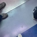 이네누헤어리더 | 홍명보를 빼랬지 누가 니 앞니를 빼래 신논현치과 무삭제라미네이트 as후기 존* 빵빠레 불면서 시작