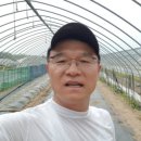 김광수 농장 이미지