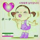 금채 이미지