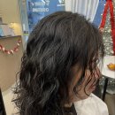 미소애견 미용실 이미지