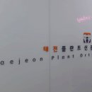 태전플란트신관치과의원 이미지