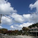 카페몰로 | 태안) 카페몰로 - 태안 만리포 모항항 키즈프렌들리 아가랑 카페 브런치맛집