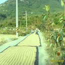 적암주유소 이미지