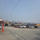 남사-3 | 용인 남사화훼단지 3부 에르베플라워아울렛 방문후기 및 추천루트